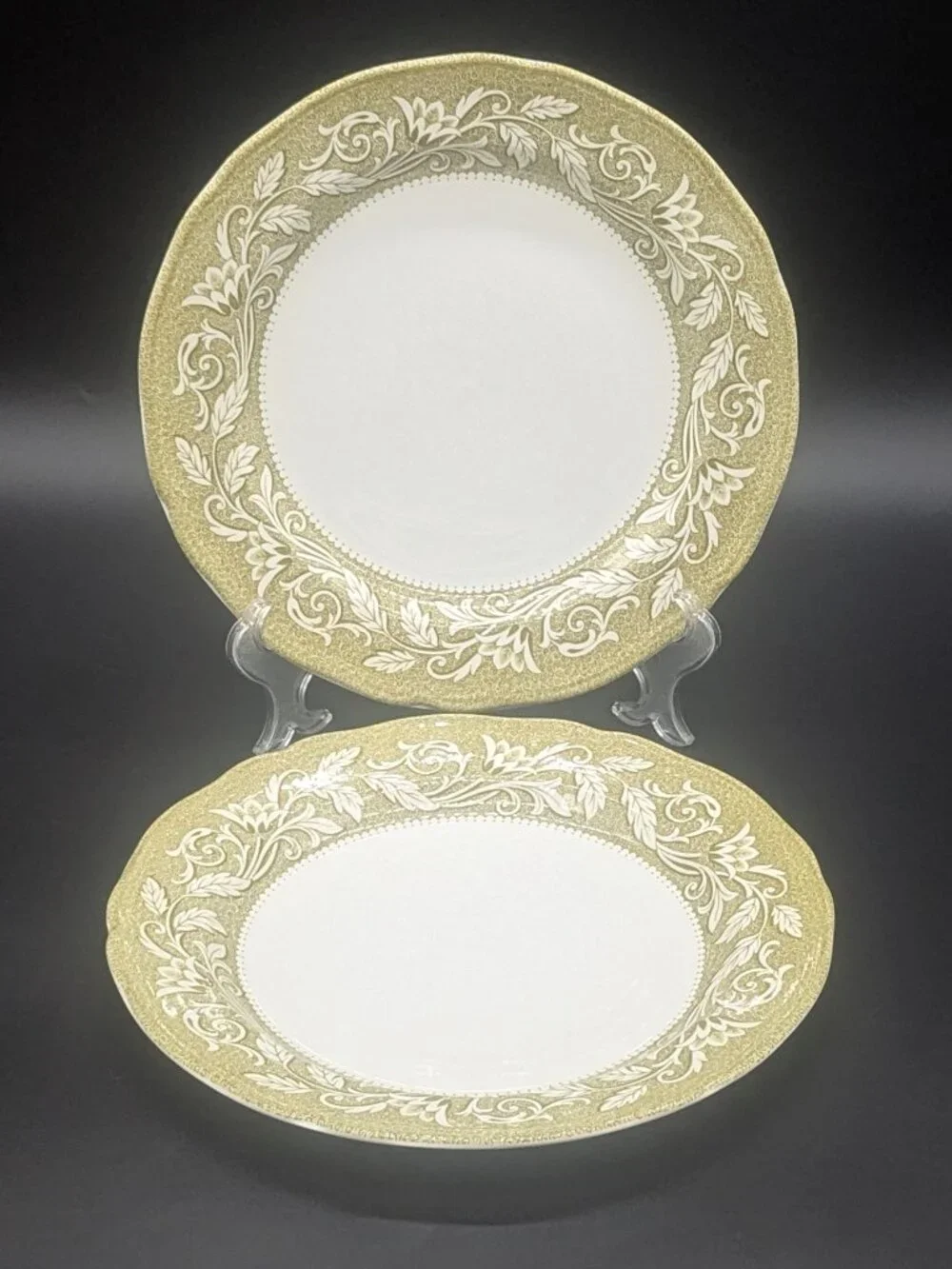 Vintage J & G Meakin Royal Staffordshire Victoria Pattern Dinner Plates Wear